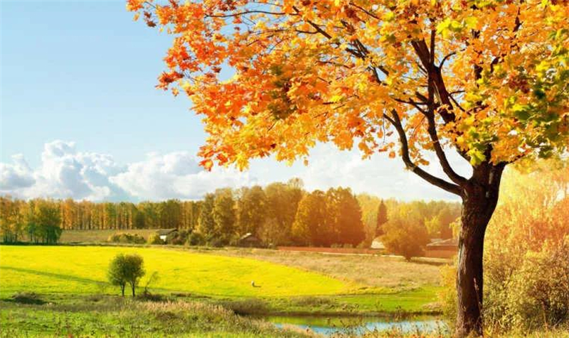 润享生活 | 秋季养生，六个最佳要牢记